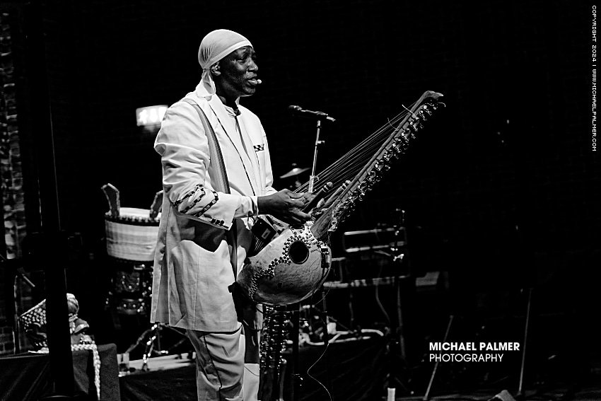 Le Griot Avant-Gardiste